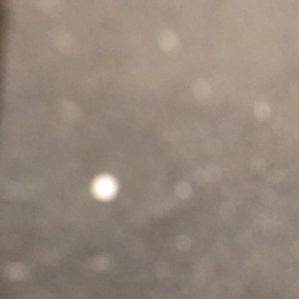 Meet your Posher, Ivy